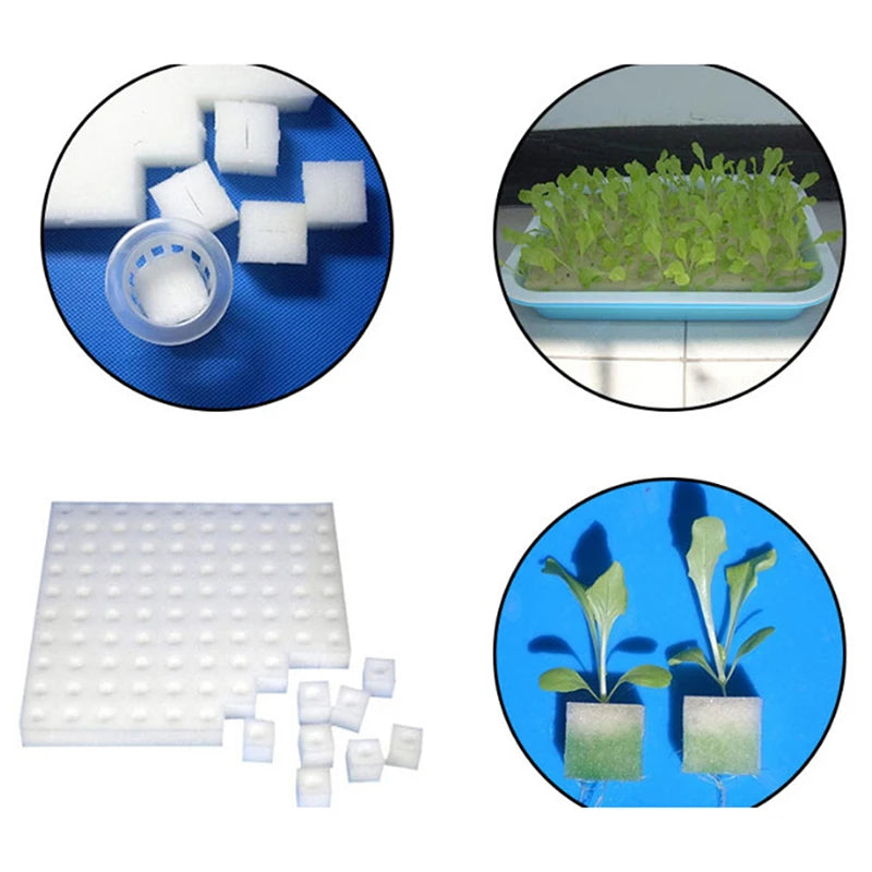 100 pieces White Seedling Sponge Soilless Hydroponic Vegetables Cultivation Plant Nursery Pots Seedlings Cloning Collar Garden